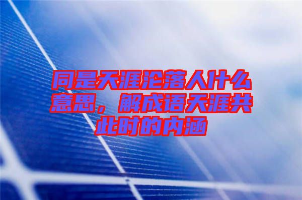 同是天涯淪落人什么意思，解成語天涯共此時的內涵