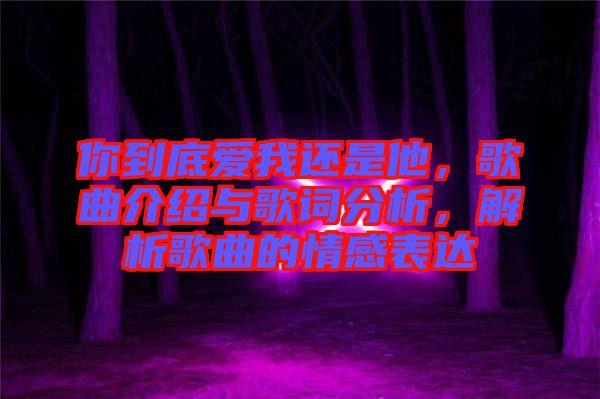你到底愛我還是他，歌曲介紹與歌詞分析，解析歌曲的情感表達(dá)