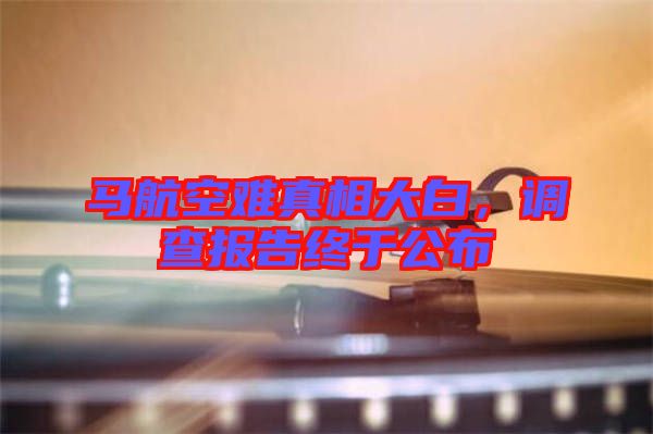 馬航空難真相大白，調查報告終于公布