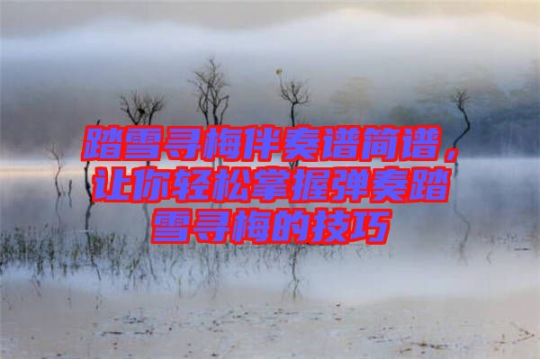 踏雪尋梅伴奏譜簡譜，讓你輕松掌握彈奏踏雪尋梅的技巧