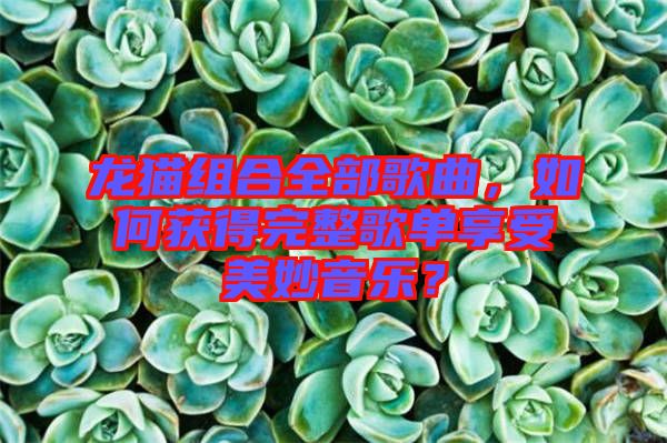 龍貓組合全部歌曲，如何獲得完整歌單享受美妙音樂？
