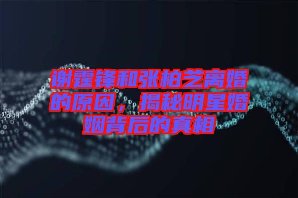 謝霆鋒和張柏芝離婚的原因，揭秘明星婚姻背后的真相