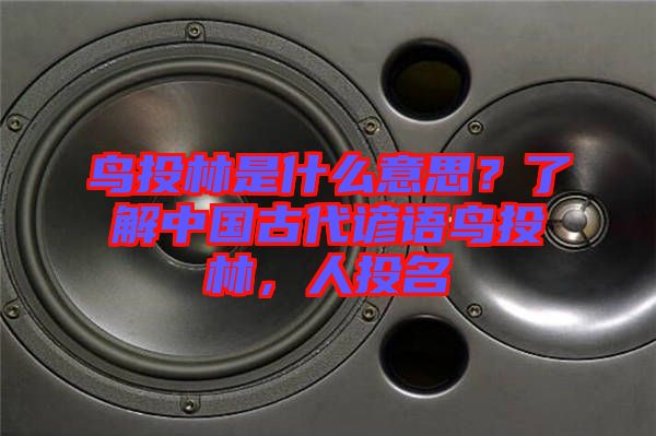 鳥投林是什么意思？了解中國古代諺語鳥投林，人投名