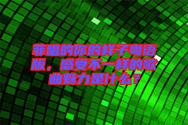 菲唱的你的樣子粵語版，感受不一樣的歌曲魅力是什么？