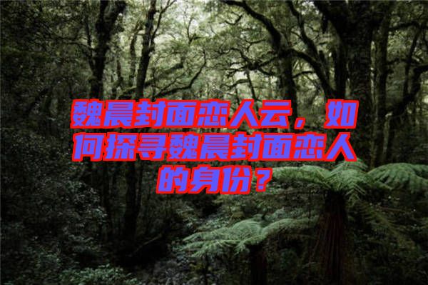 魏晨封面戀人云，如何探尋魏晨封面戀人的身份？