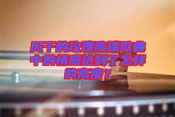 風(fēng)干的玫瑰陳瑞歌曲中的情感達(dá)到了怎樣的高度？