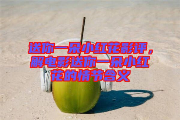 送你一朵小紅花影評，解電影送你一朵小紅花的情節(jié)含義