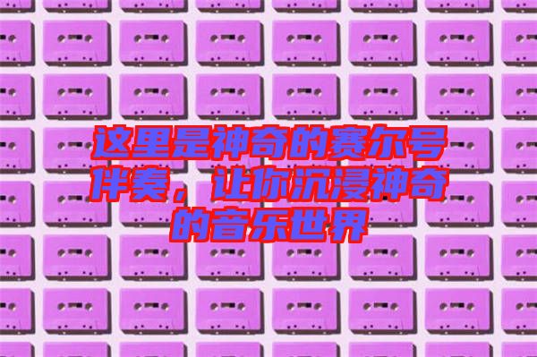 這里是神奇的賽爾號伴奏，讓你沉浸神奇的音樂世界
