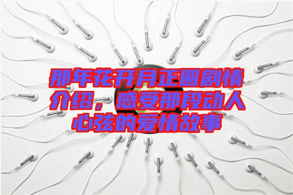 那年花開月正圓劇情介紹，感受那段動人心弦的愛情故事