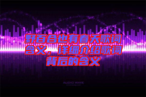 野百合也有春天歌詞含義，詳細(xì)介紹歌詞背后的含義